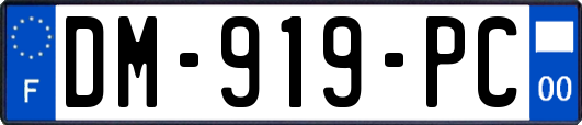 DM-919-PC