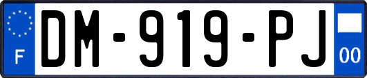 DM-919-PJ