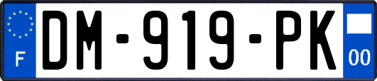 DM-919-PK