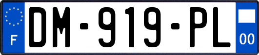 DM-919-PL