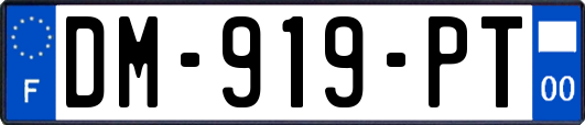 DM-919-PT
