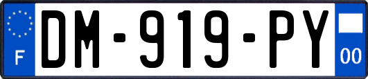 DM-919-PY