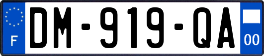 DM-919-QA