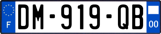 DM-919-QB