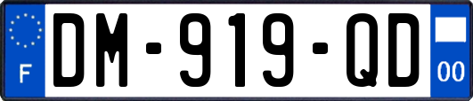 DM-919-QD