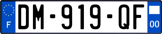 DM-919-QF