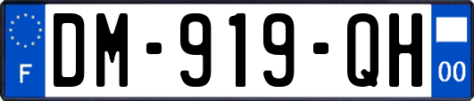 DM-919-QH