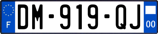 DM-919-QJ