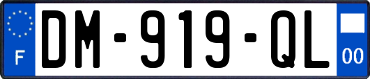 DM-919-QL