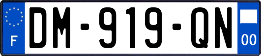 DM-919-QN