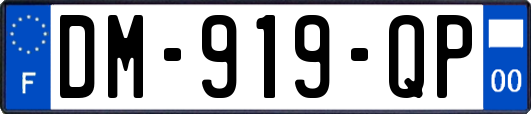 DM-919-QP