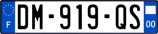 DM-919-QS