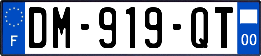 DM-919-QT