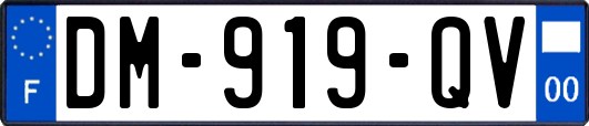 DM-919-QV