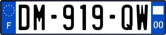 DM-919-QW