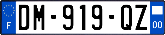 DM-919-QZ