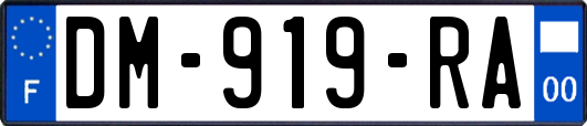 DM-919-RA