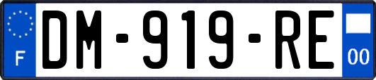 DM-919-RE