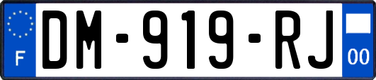 DM-919-RJ