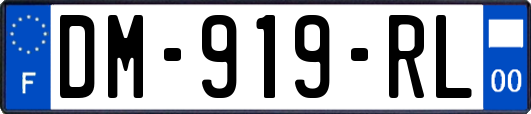 DM-919-RL
