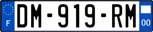 DM-919-RM