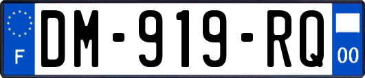 DM-919-RQ