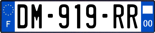 DM-919-RR