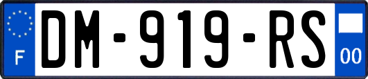 DM-919-RS