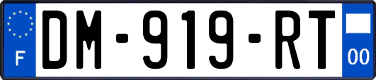 DM-919-RT