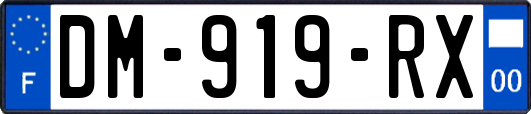 DM-919-RX