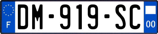 DM-919-SC