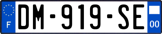 DM-919-SE
