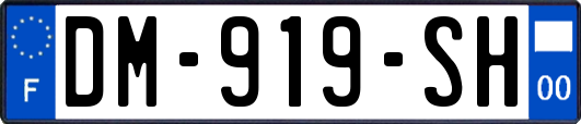 DM-919-SH