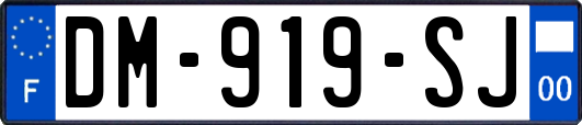 DM-919-SJ