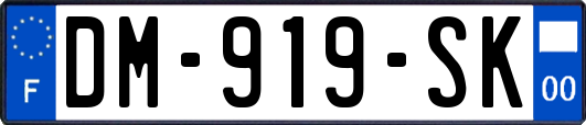 DM-919-SK