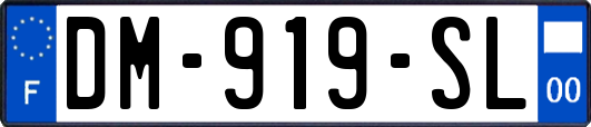 DM-919-SL