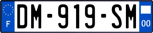DM-919-SM