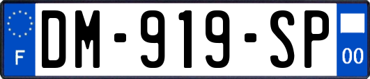 DM-919-SP