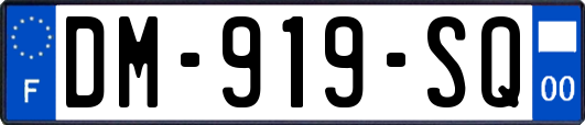 DM-919-SQ