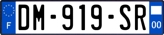 DM-919-SR
