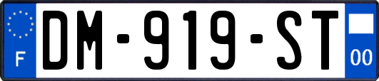 DM-919-ST