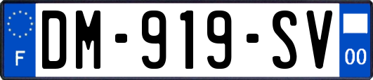 DM-919-SV