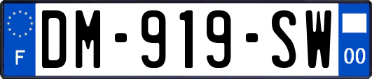 DM-919-SW