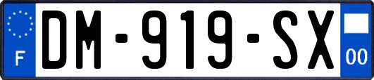 DM-919-SX