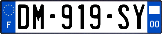 DM-919-SY