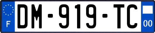 DM-919-TC