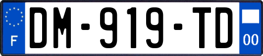 DM-919-TD