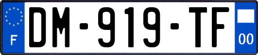 DM-919-TF