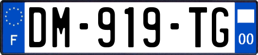 DM-919-TG