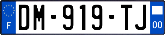 DM-919-TJ